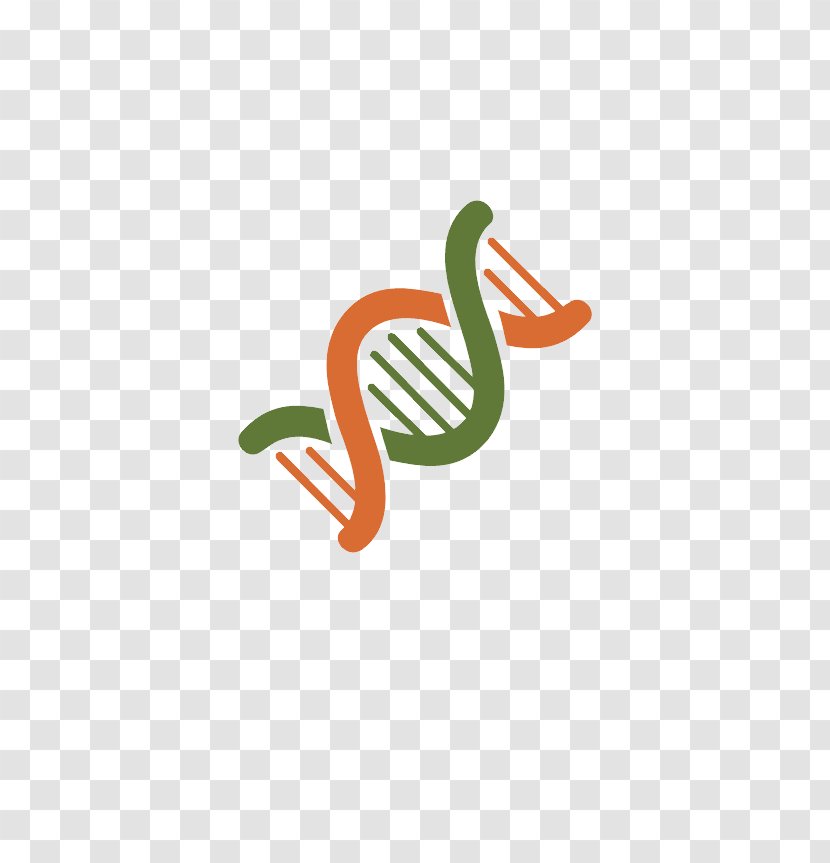 DNK Download Clip Art - Dna - Phenotyping Transparent PNG