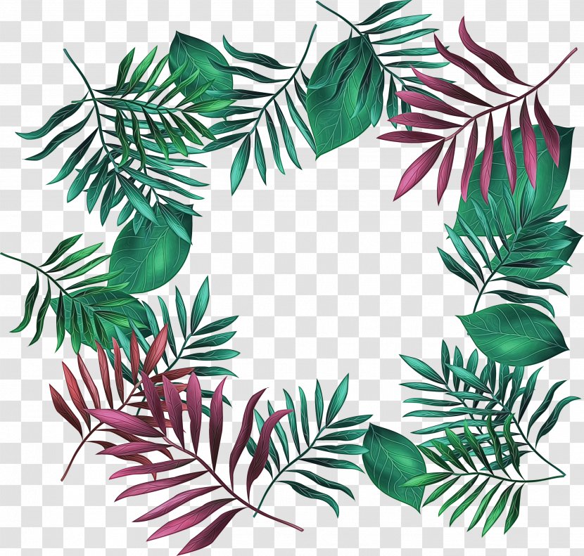 Family Tree Background - Pine - Flower Transparent PNG