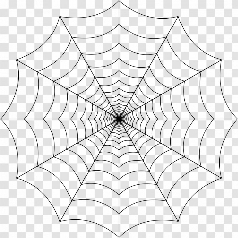 Spider Web Clip Art - Area - Transparent Background Transparent PNG
