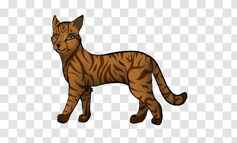 Cats Of The Clans Warriors Whiskers Birchfall - Hawkfrost - Cat Transparent PNG