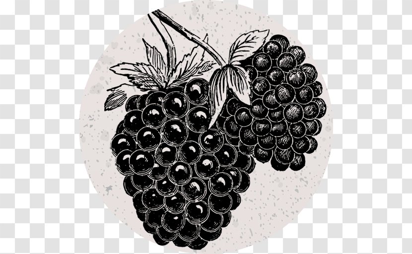 Blackberry Grape Italian Cuisine Clip Art Transparent PNG