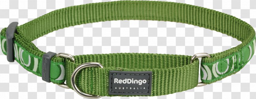 Dingo Dog Collar Martingale Leash Transparent PNG