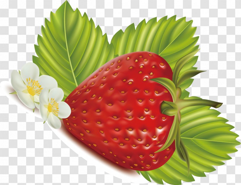 Strawberry Frutti Di Bosco Euclidean Vector Food - Superfood - Decorative Pattern Transparent PNG