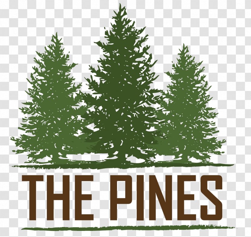 The Pines At Rapid City Kitchen LaCrosse Estates Apartments House - Logo - Beautiful Country Transparent PNG