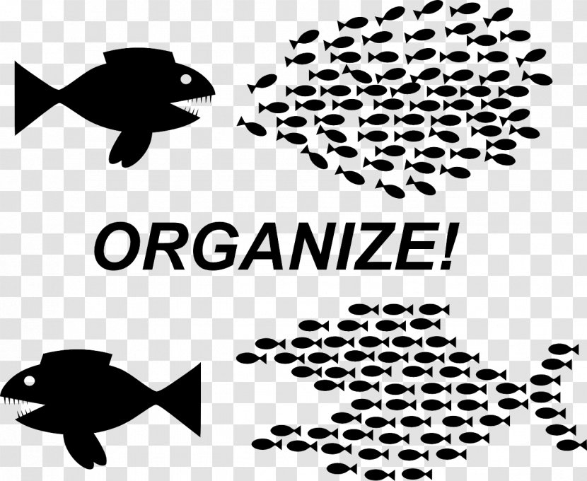 Fish Organization Clip Art - Bowl Transparent PNG