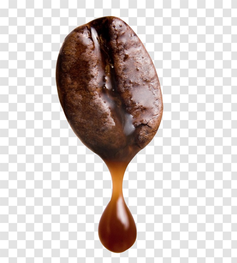 Arabica Coffee Cafe Robusta Bean - Espresso Machines - Walnut Meat Transparent PNG
