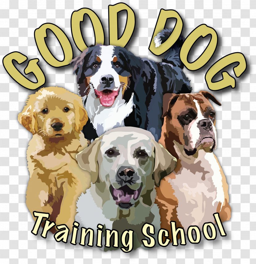 Dog Breed Beagle Spaniel Puppy Love - Crossbreed - Certificate School Transparent PNG