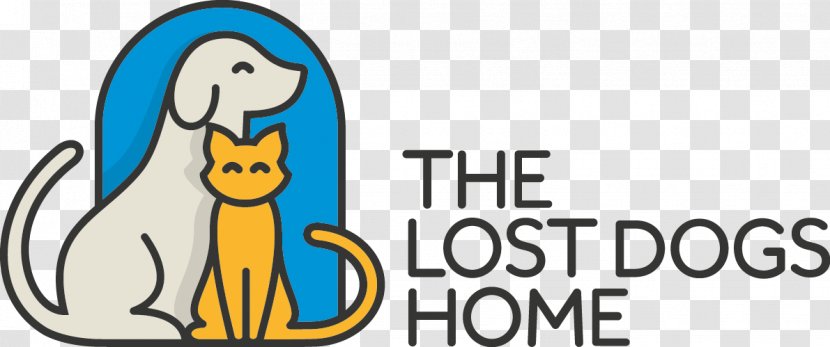 The Lost Dogs' Home Cat Animal Welfare - Veterinarian - Dog Transparent PNG