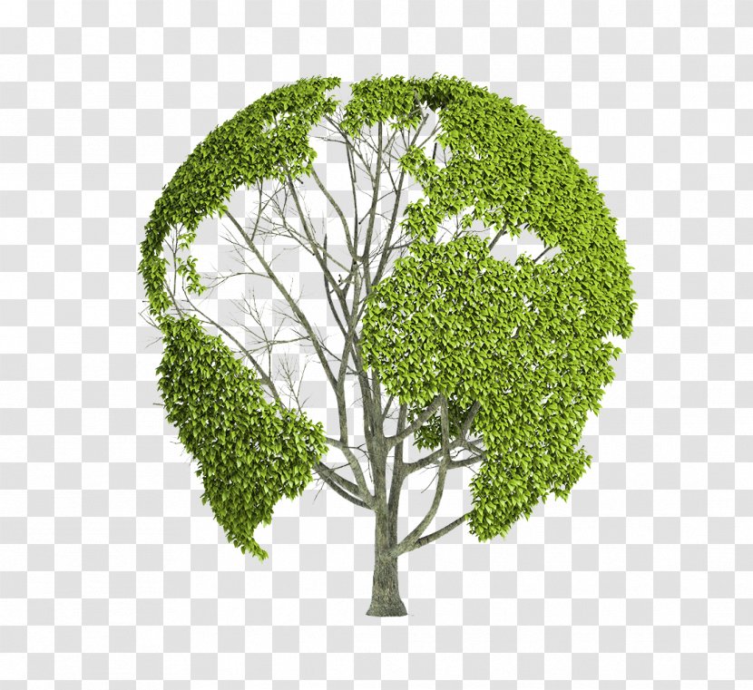 Earth World Globe Natural Environment - Shutterstock - Creative Map Tree Definition Picture Transparent PNG