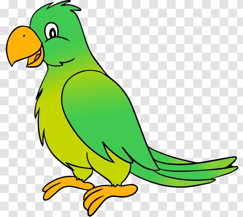 Parrot Lovebird Clip Art - Cartoon - Guitar Pics Transparent PNG