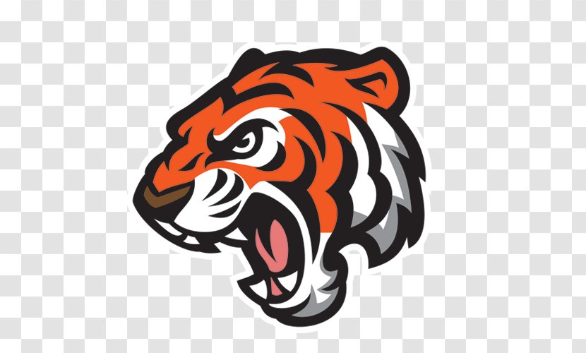 Tiger Mascot - Orange Transparent PNG
