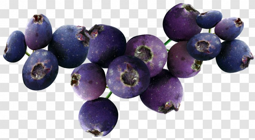Blueberry Fruit - Bilberry Transparent PNG