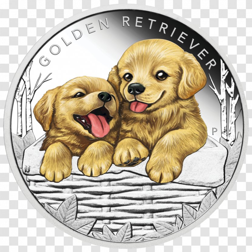 Golden Retriever Perth Mint Puppy The Border Collie: A Guide To Selection, Care, Nutrition, Training, Health, Breeding, Sports And Play - Dog Transparent PNG