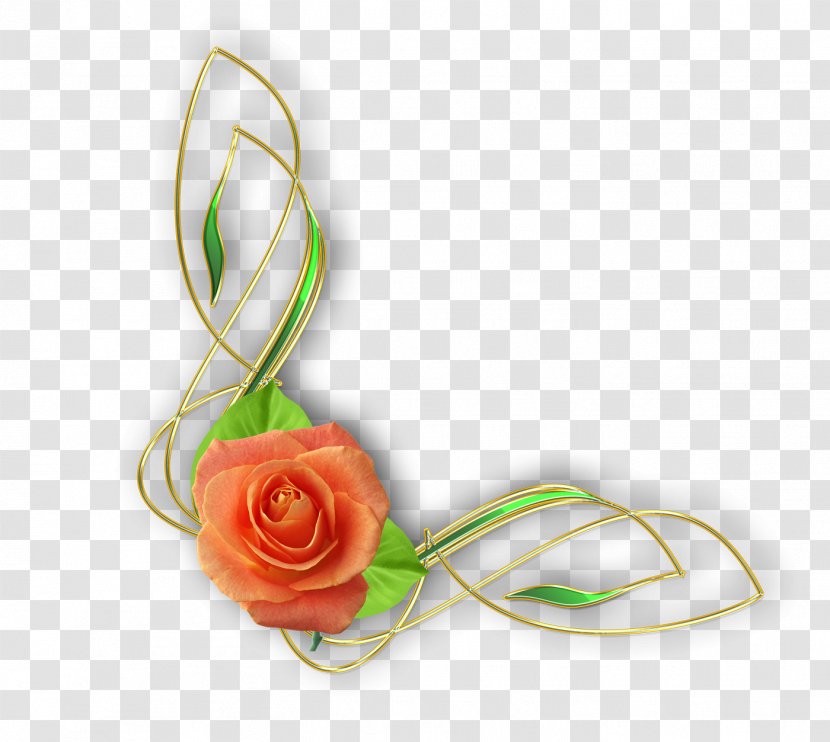 Photography Flower Floral Design - Rose Family - Decorations Transparent PNG