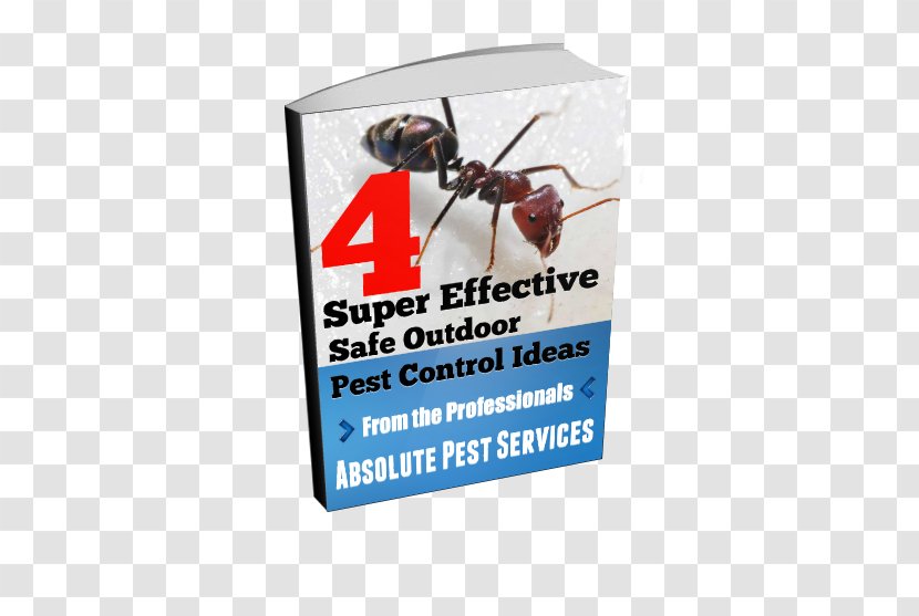 Ant Banner - Advertising Transparent PNG