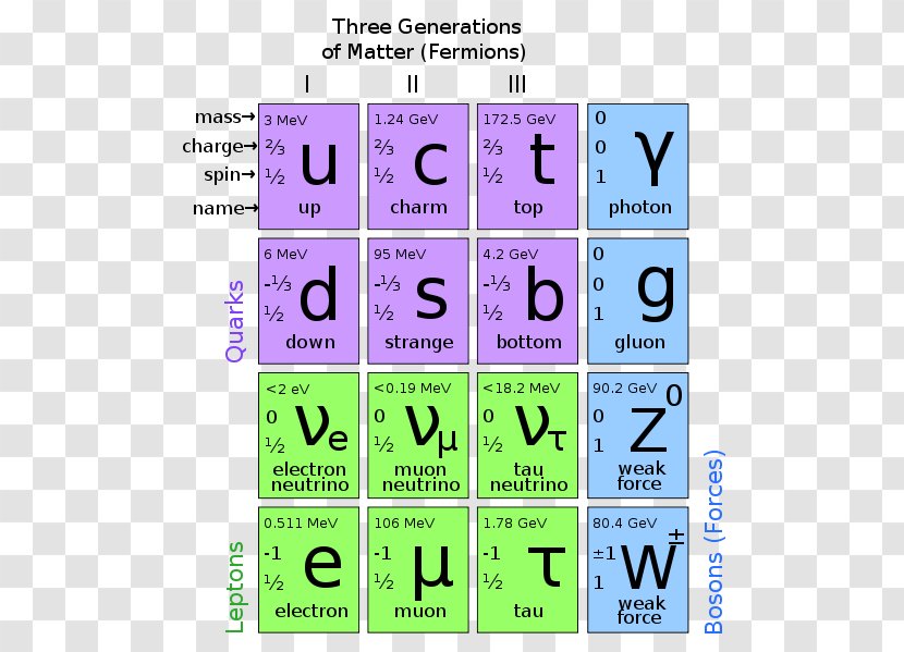 Particle Physics Standard Model Elementary Fermion - Lepton Transparent PNG