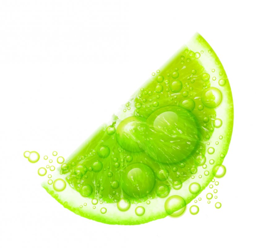 Drawing Fruit - Organism - Lime Transparent PNG