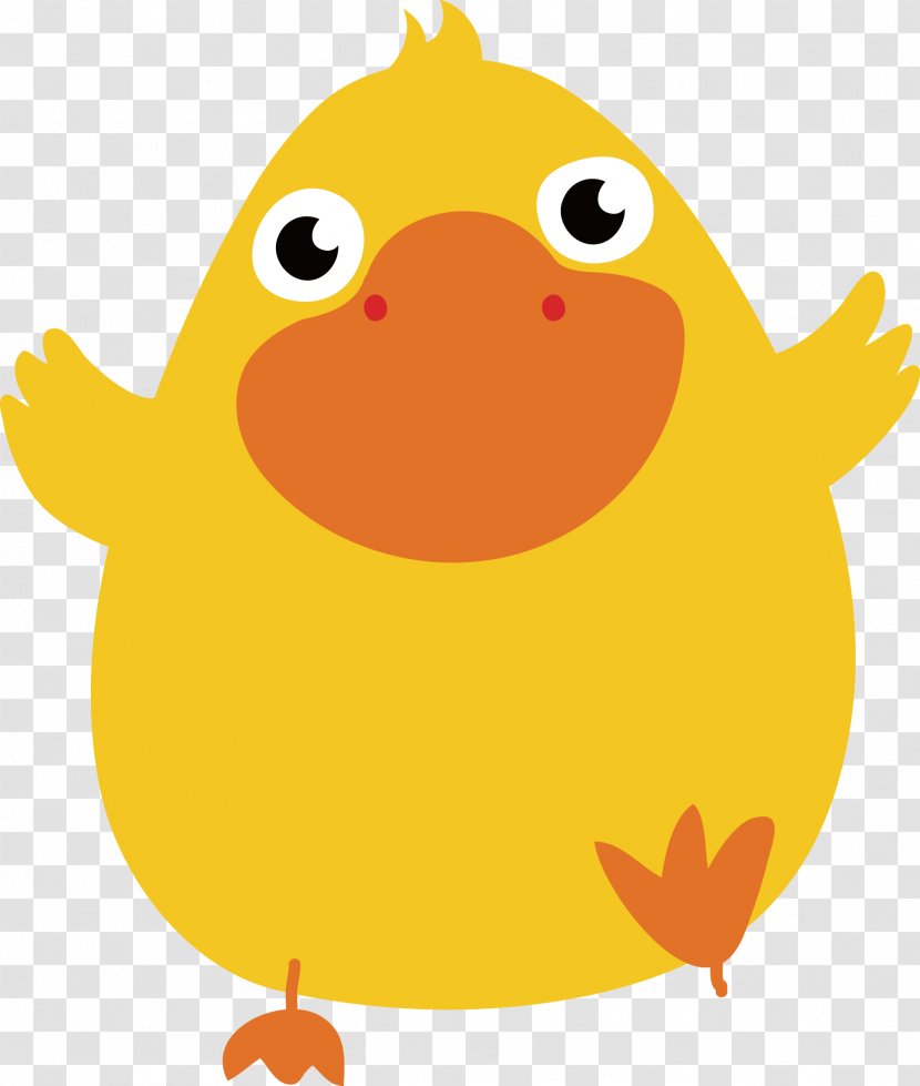 Duck Cartoon Illustration - Chicken - Mouth Transparent PNG