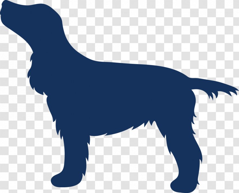 Dog Breed Sporting Group Retriever Puppy Transparent PNG