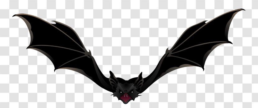 Bat Clip Art Image - Animal Figure Transparent PNG