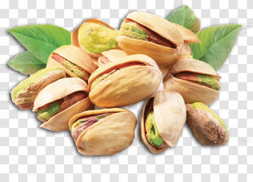 Pistachio Nut Health Dried Fruit Food - Mixed Nuts Transparent PNG