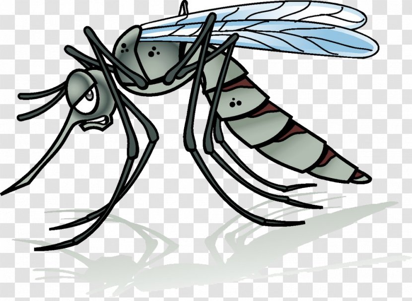 Mosquito Cartoon Illustration - Tree Transparent PNG