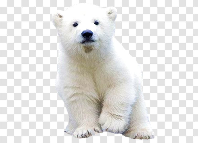 Polar Bear Arctic Brown Clip Art - Terrestrial Animal Transparent PNG