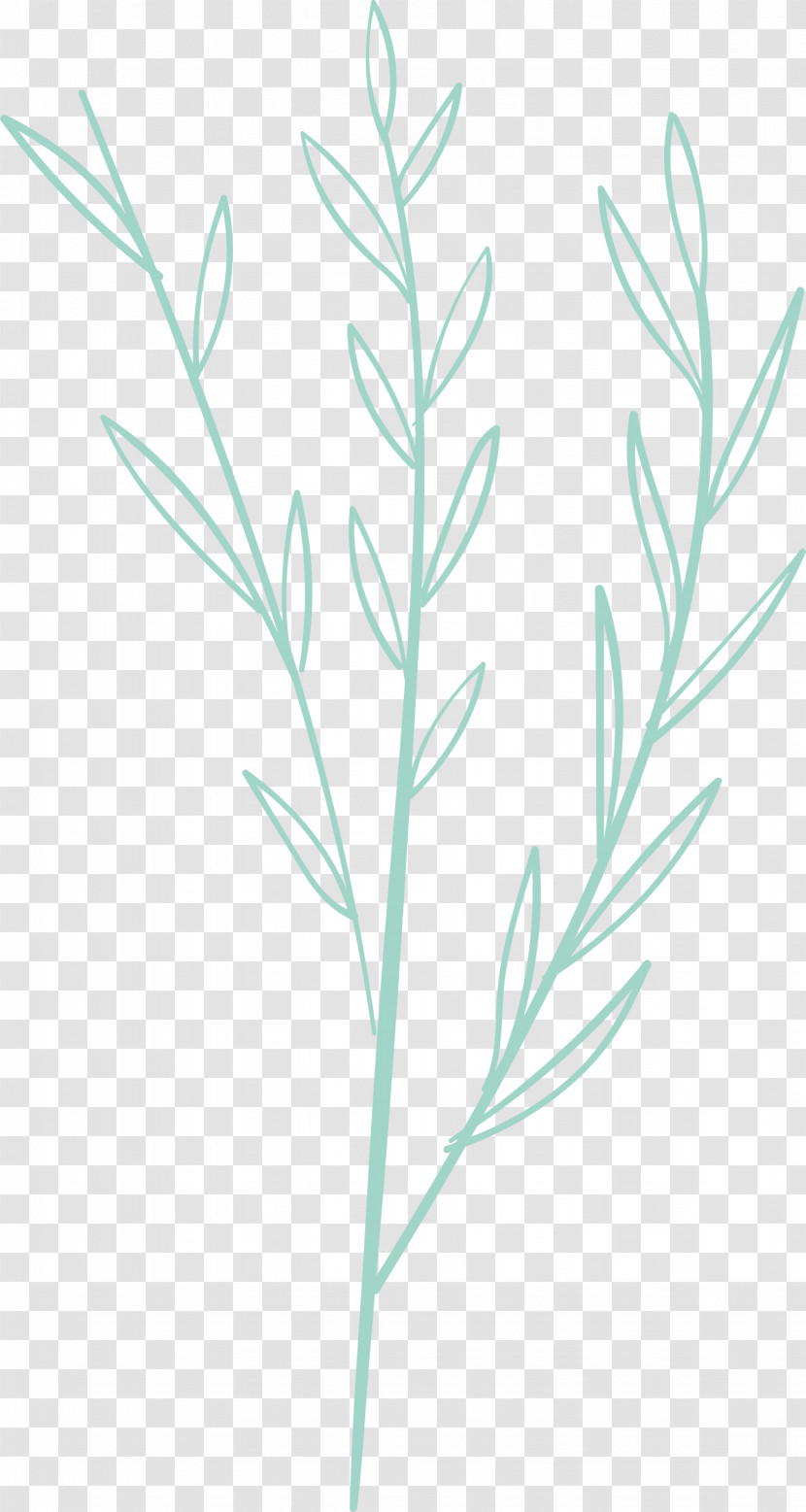 Simple Leaf Simple Leaf Drawing Simple Leaf Outline Transparent PNG