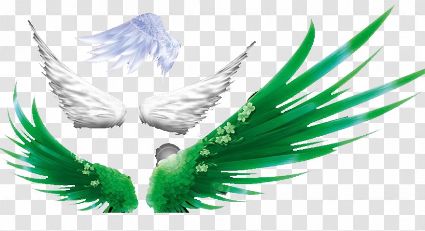 Green Download Clip Art - Poster - Colored Wings Transparent PNG