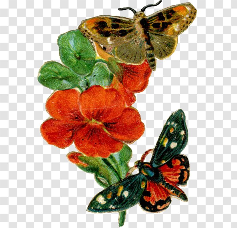 Monarch Butterfly Victorian Era Bokmärke Moth - Blade Transparent PNG