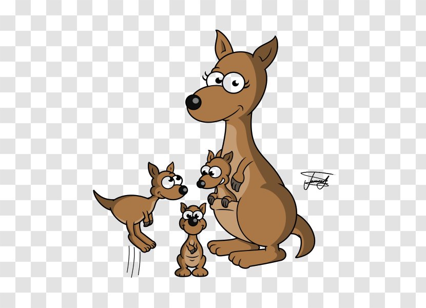 Kangaroo Cartoon Drawing Model Sheet - Marsupial Transparent PNG