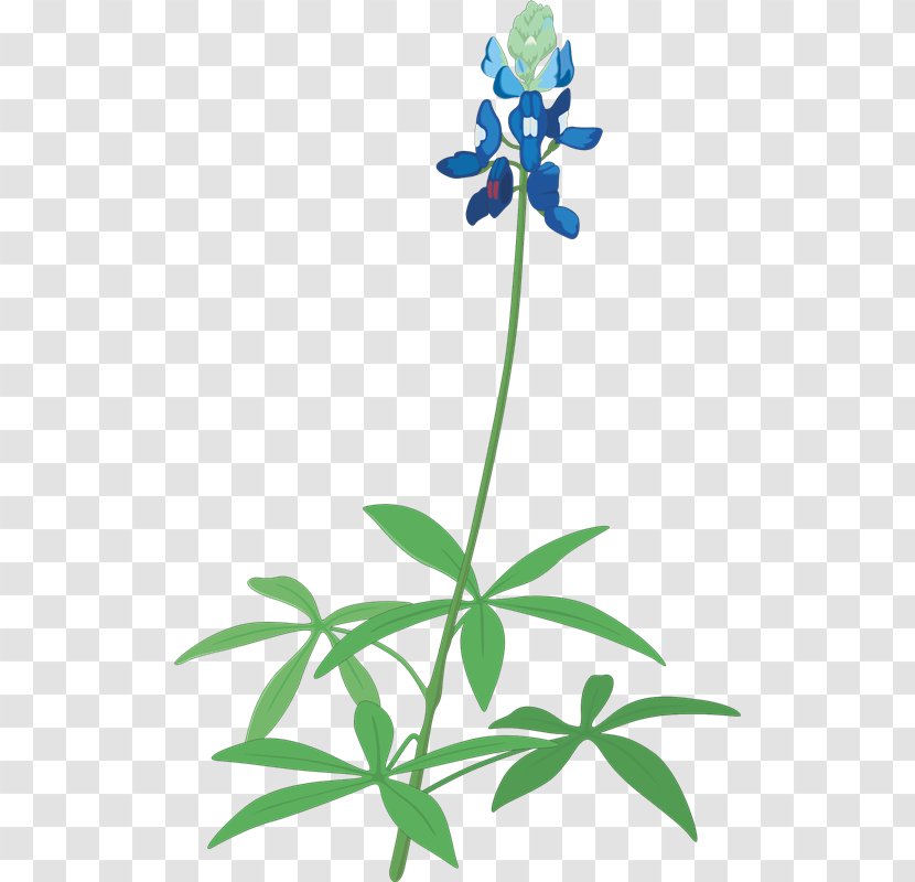 Floral Design Texas Bluebonnet Clip Art - Flowerpot - Bluebonnets Transparent PNG
