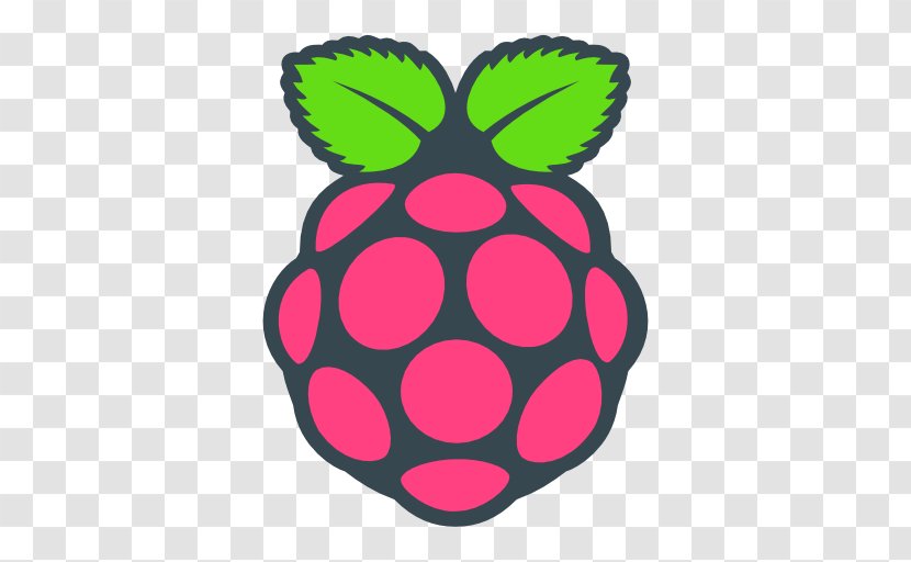 Raspberry Pi Foundation Computer Cases & Housings Raspbian - Vector Transparent PNG