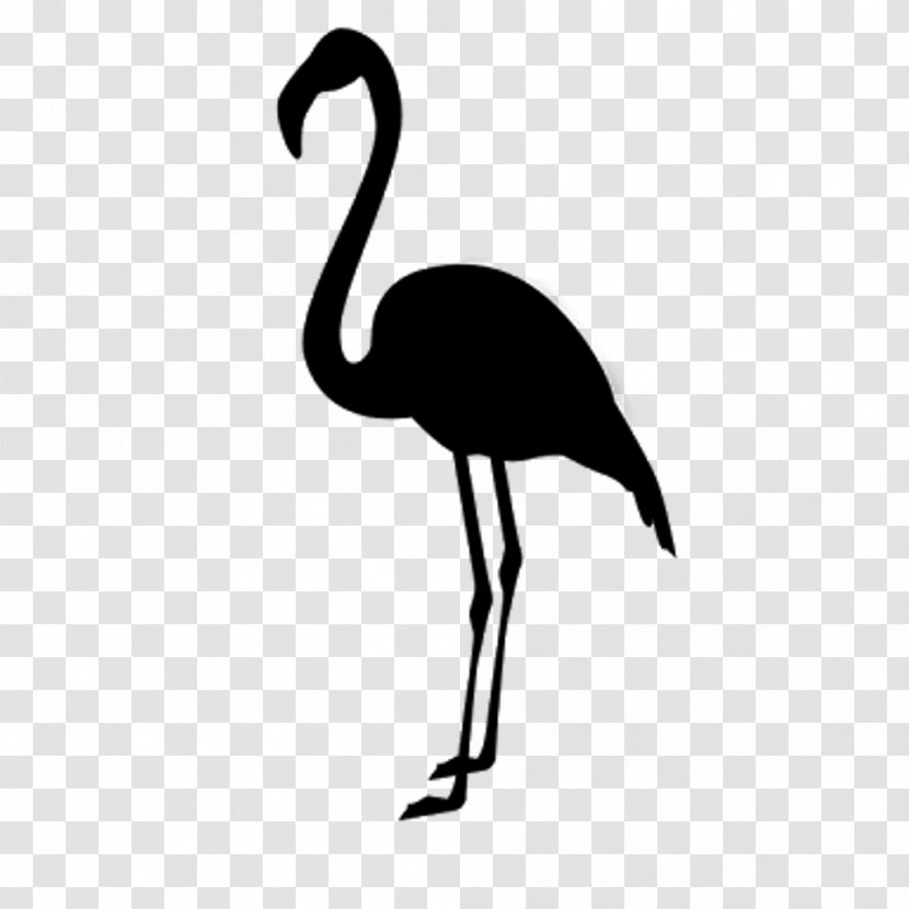 Beak Neck Font Silhouette Ibis - Wildlife Transparent PNG