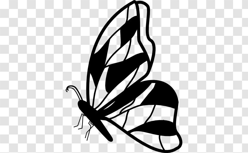 Butterfly Insect Drawing Clip Art - Artwork - Irregular Vector Transparent PNG