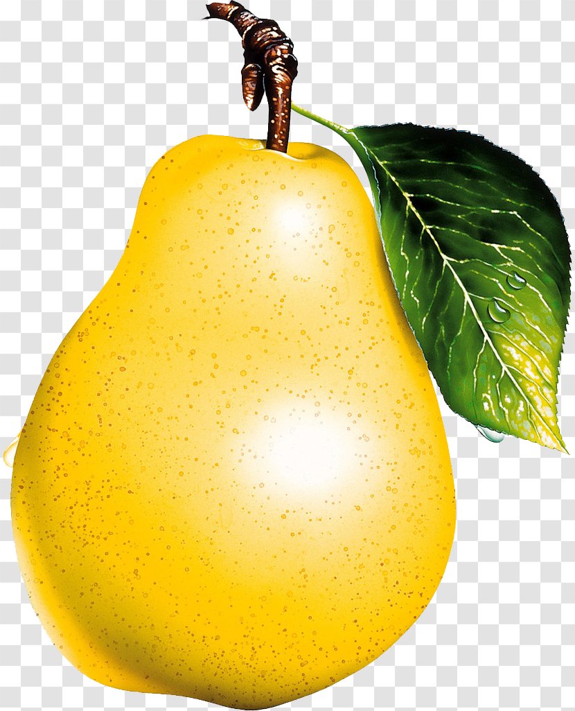 Desktop Wallpaper Pear Fruit Clip Art - Citrus - Lemon Transparent PNG