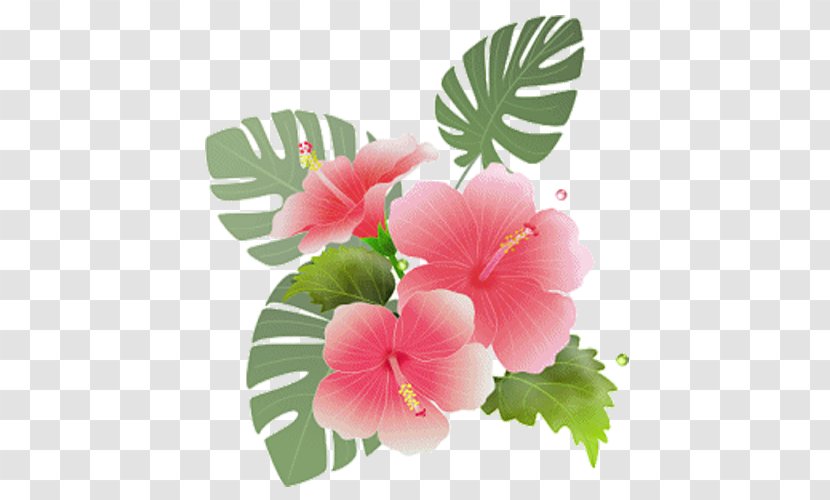 Clip Art Image Vector Graphics Download - Chinese Hibiscus Transparent PNG