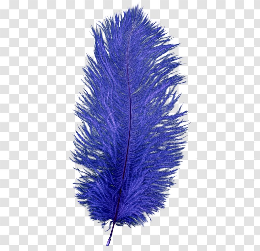 Feather Blue Clip Art Image Transparent PNG