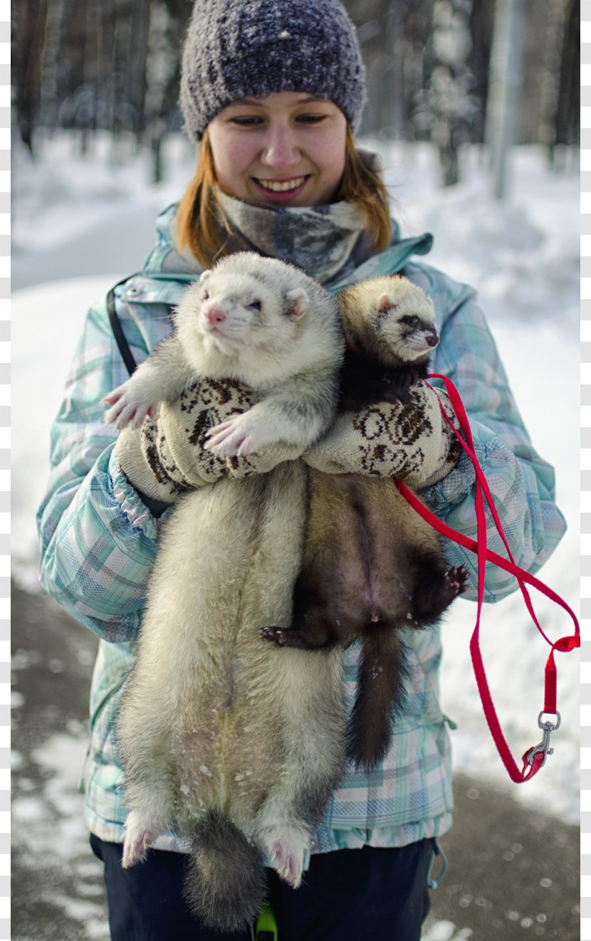 Ferret Dog Cat Otter Leash - Hug Transparent PNG