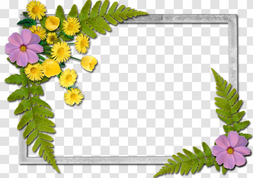 Picture Frames Flower A Butterfly - Floral Design - Flowers Frame Transparent PNG