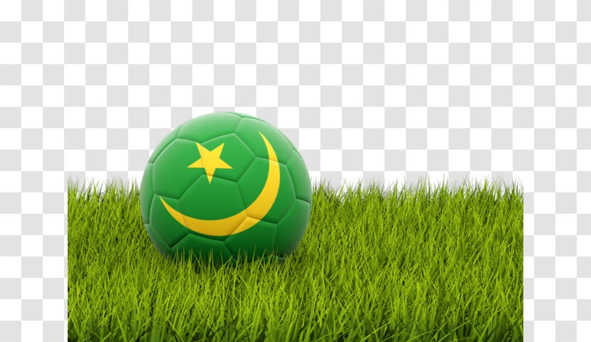 Portugal National Football Team 2018 World Cup Brazil Player - Lawn - Grass Transparent PNG