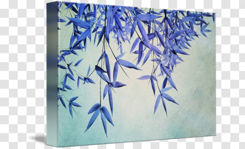 Gallery Wrap Canvas Graphic Arts Painting Transparent PNG