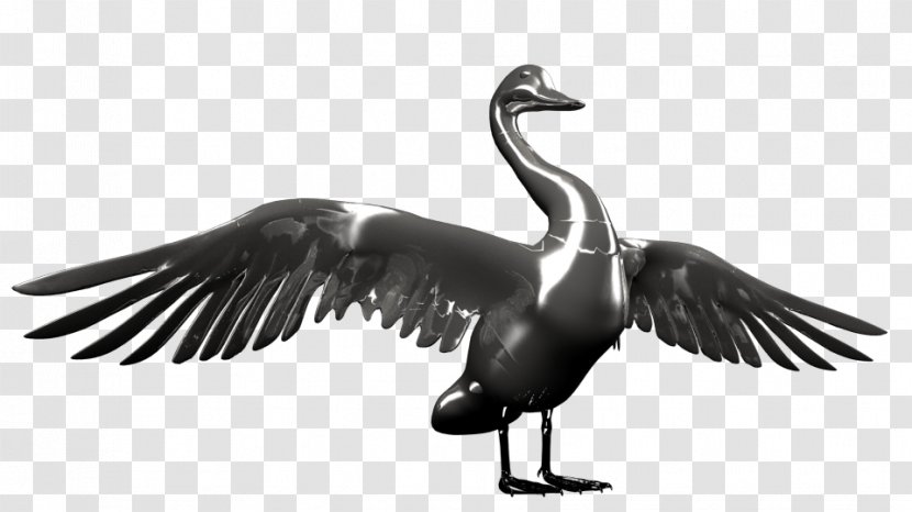 Duck Goose Fauna Feather Beak - Waterfowl Transparent PNG