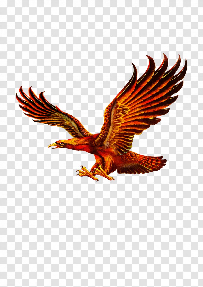 Download Oil Painting Chinese - Calligraphy - Eagle Fly Transparent PNG