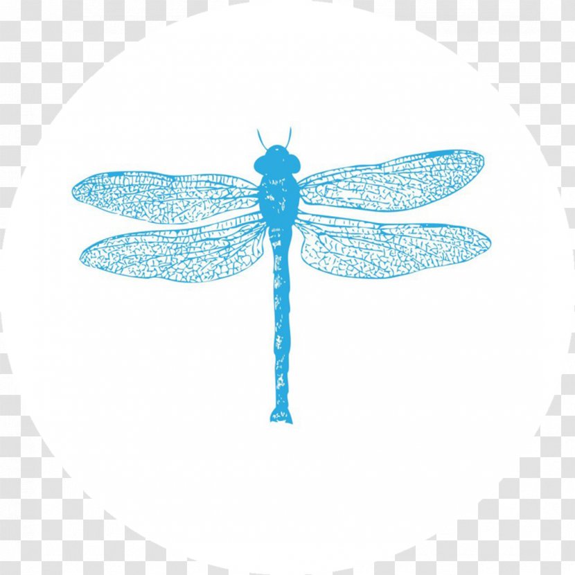 Dragonfly Insect Pillow Antique Towel Transparent PNG