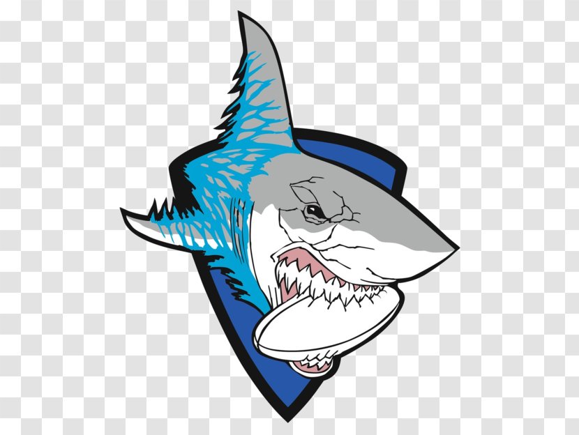 Shark Cartoon Headgear Clip Art - Symbol Transparent PNG