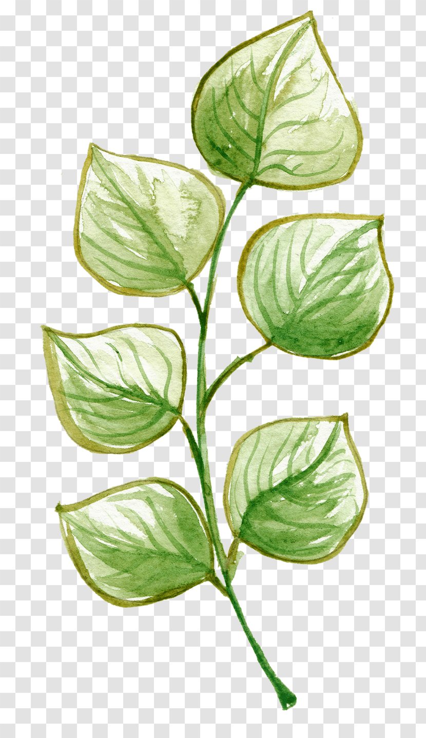 Watercolor Painting Drawing Image - Plant Sale Transparent PNG