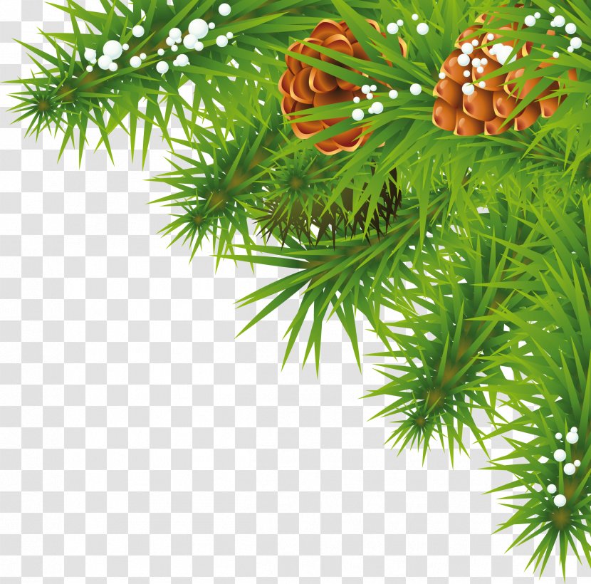Christmas Clip Art - Tree - Fir-tree Branch Image Transparent PNG