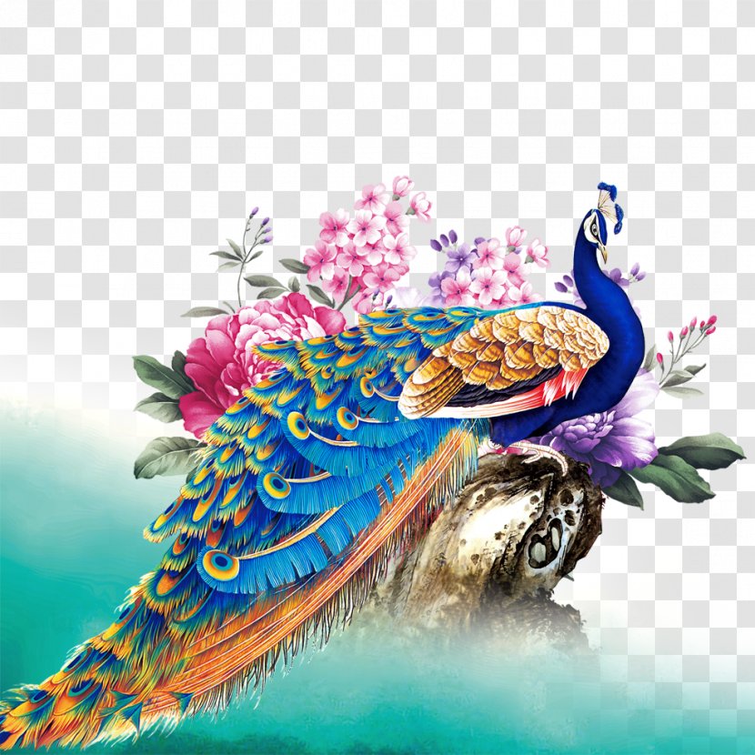 Peafowl Bird - Tail - Color Peacock Transparent PNG
