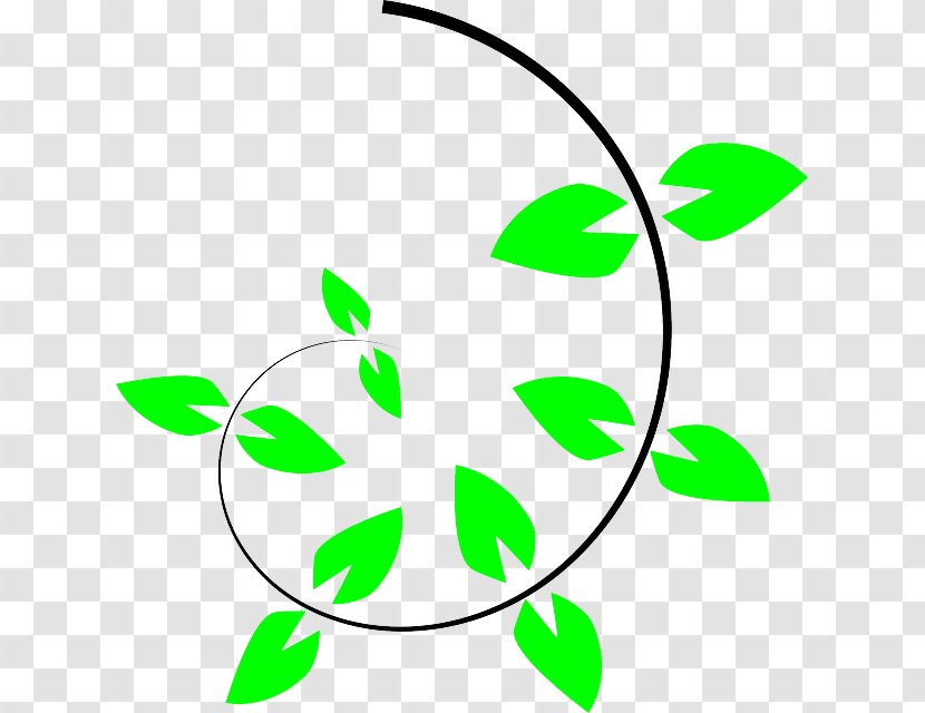 Vine Tree Climbing Clip Art - Flora - Flower Transparent PNG